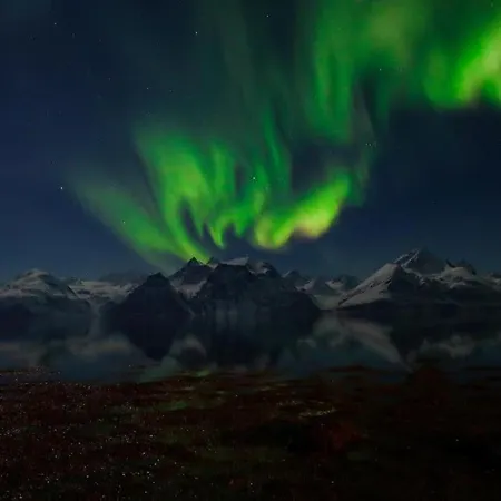 Lyngenfjord View