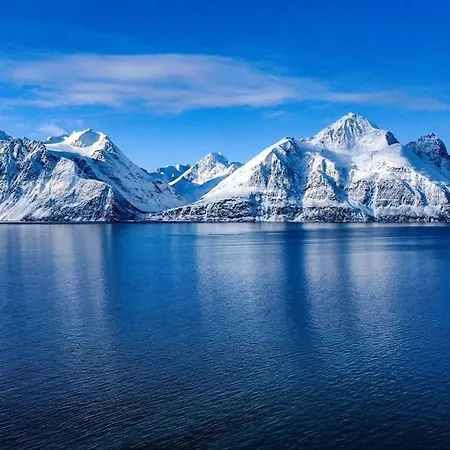 Lyngenfjord View Engnes