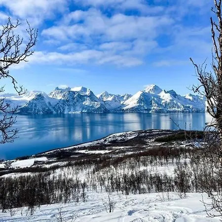 Lyngenfjord View Hébergement de vacances Engnes