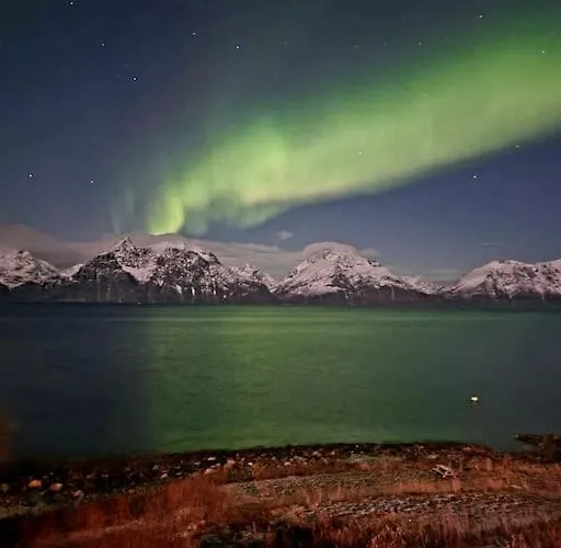 Lyngenfjord View Semesterbostad *