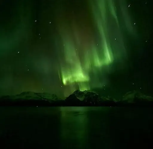 Semesterbostad Lyngenfjord View *