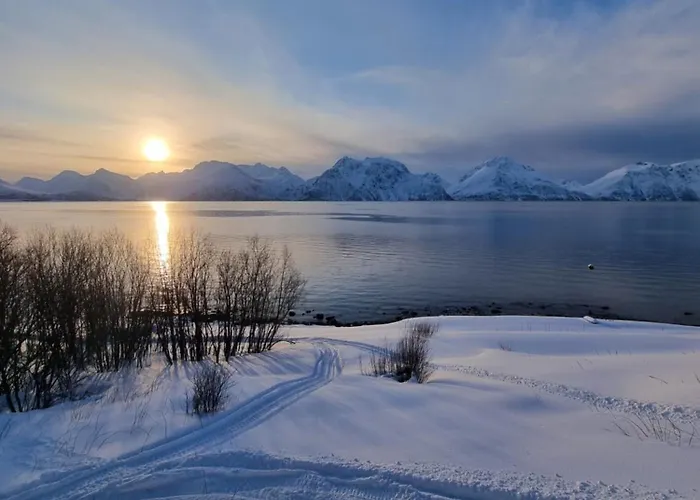 Lyngenfjord View Engnes