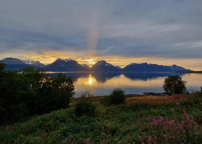 Semesterbostad Lyngenfjord View *