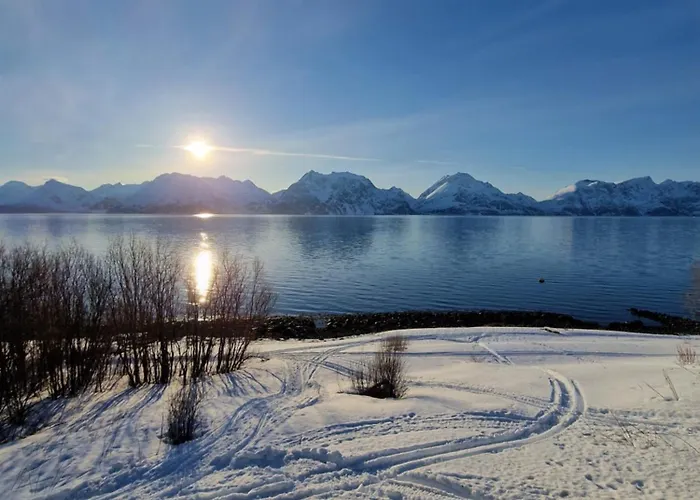 Lyngenfjord View Semesterbostad Engnes