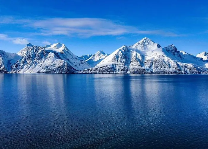 Lyngenfjord View Engnes