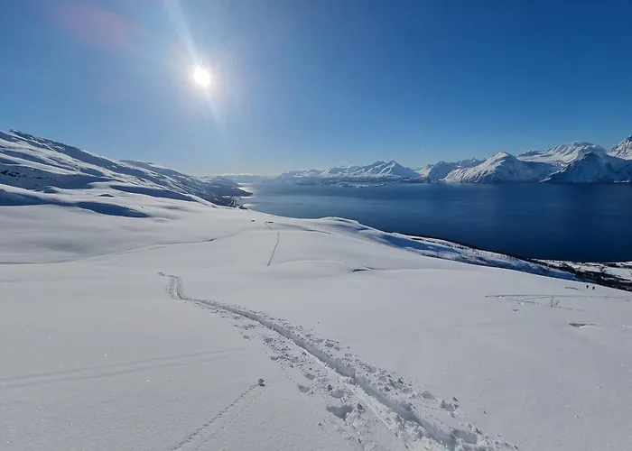 Lyngenfjord View Semesterbostad Engnes