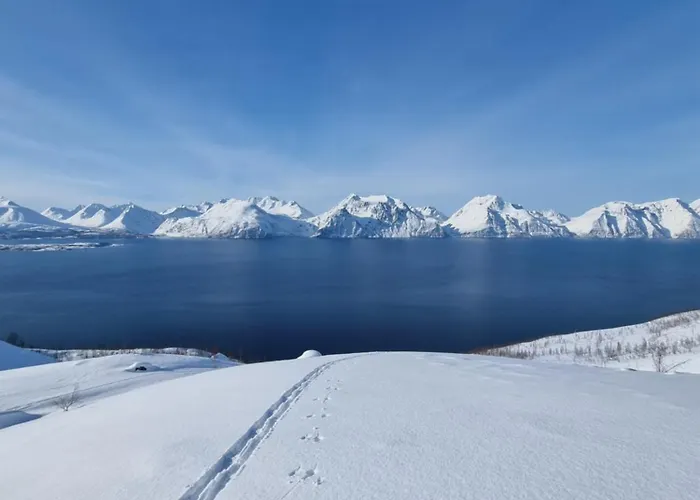 Hébergement de vacances Lyngenfjord View