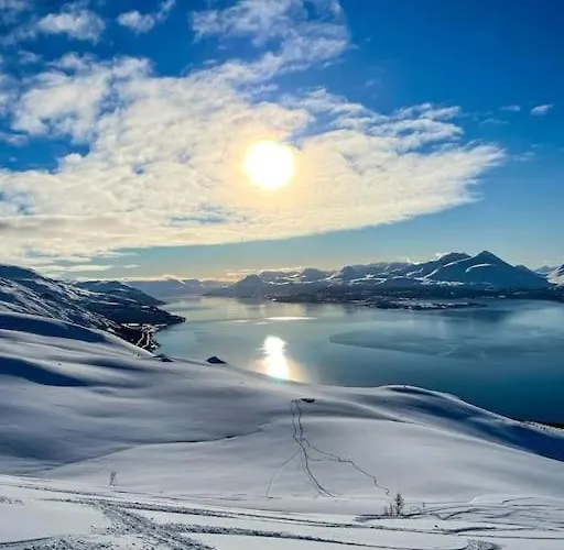 Lyngenfjord View * Engnes