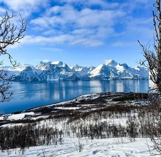Lyngenfjord View Semesterbostad Engnes