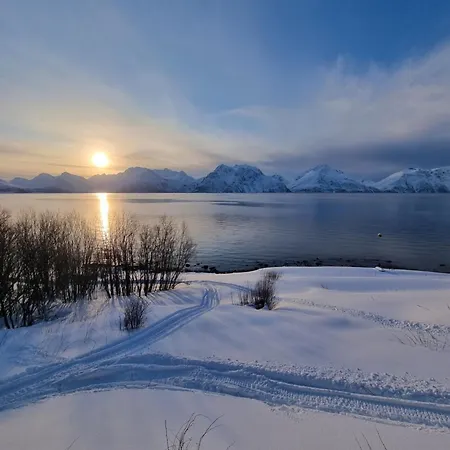 Lyngenfjord View Engnes