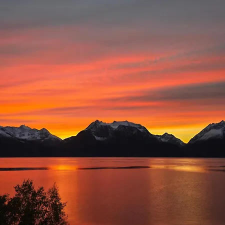 Lyngenfjord View Semesterbostad Engnes